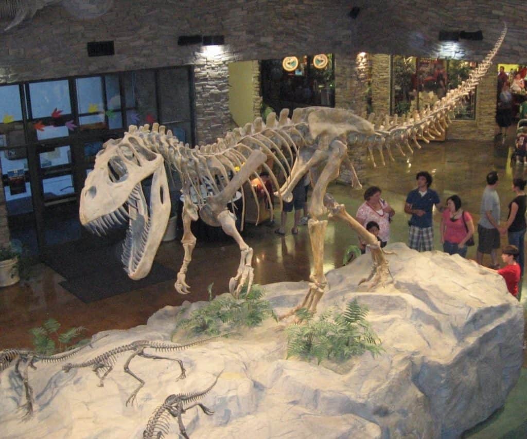 Museum of Ancient Life, Lehi