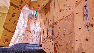 Life Time Climb
