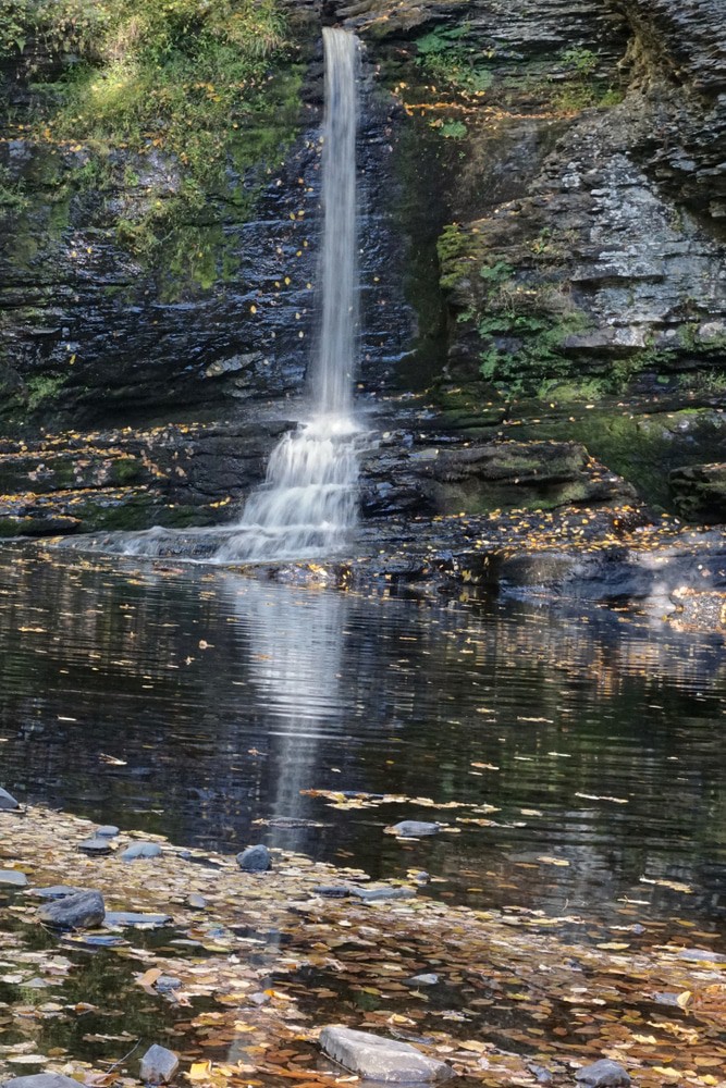 Deer Leap Falls, Childs Park