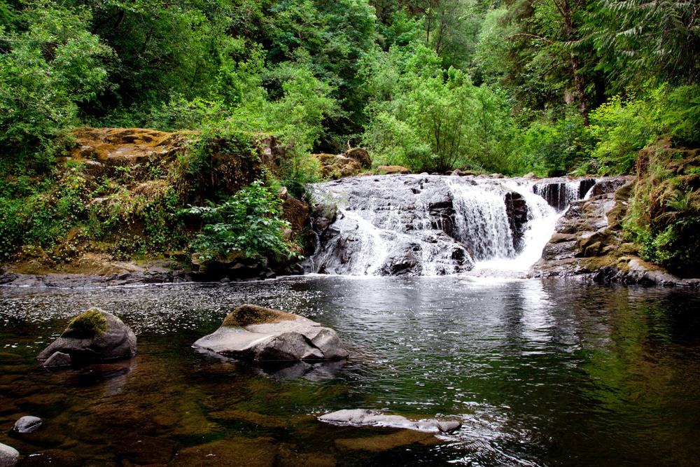 Sweet Creek Falls, Oregon