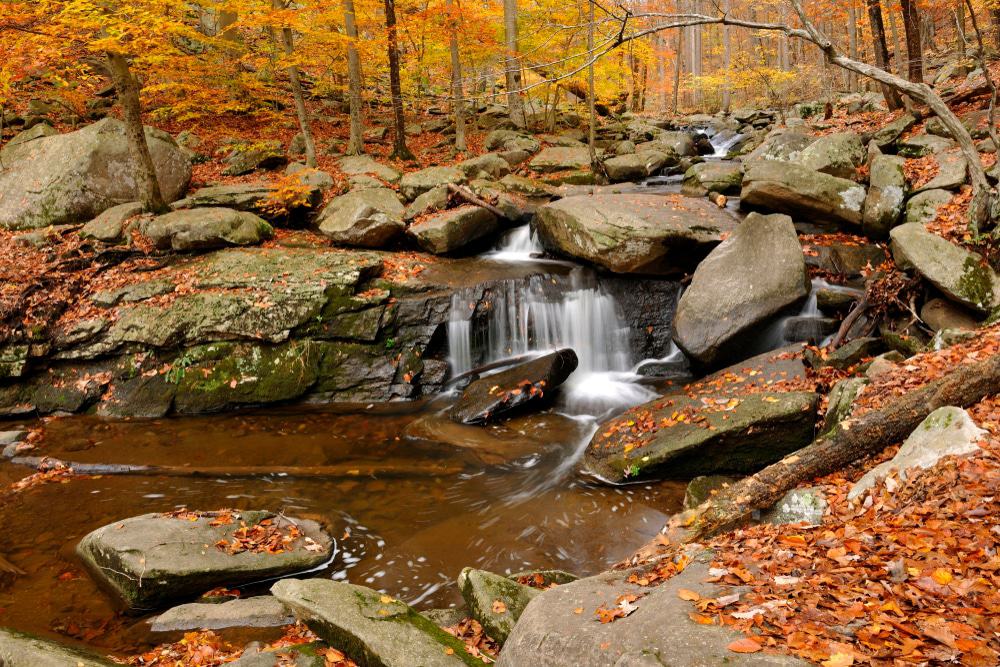 Hacklebarney Falls