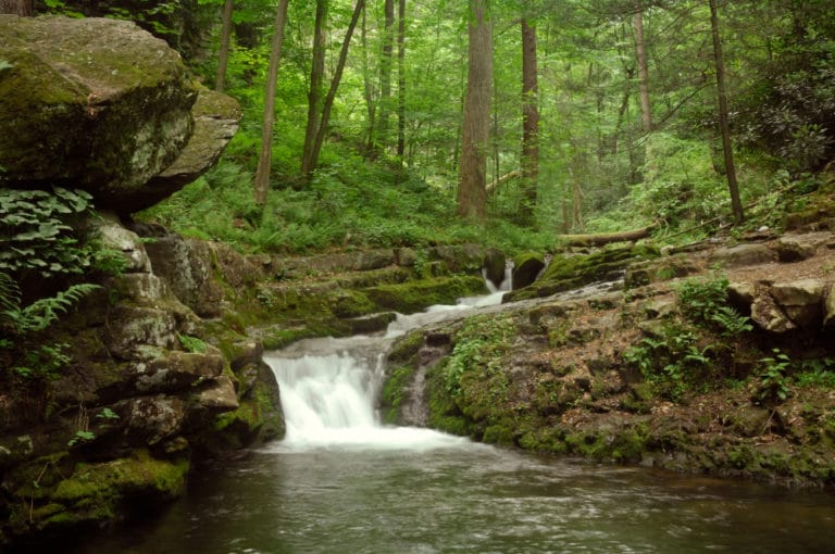 10 Amazing Waterfalls in New Jersey The Crazy Tourist