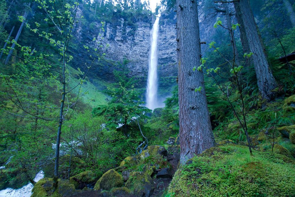 Watson Falls, Oregon
