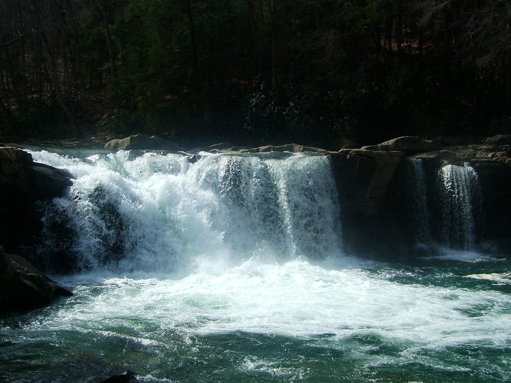 Wonder Falls