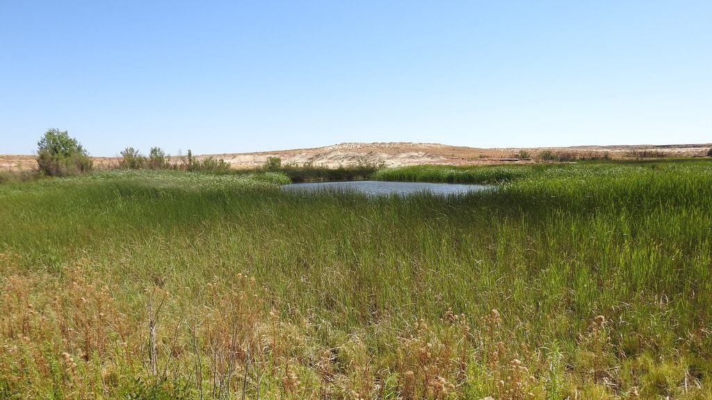 15 Things to Do in Winslow (AZ) The Crazy Tourist