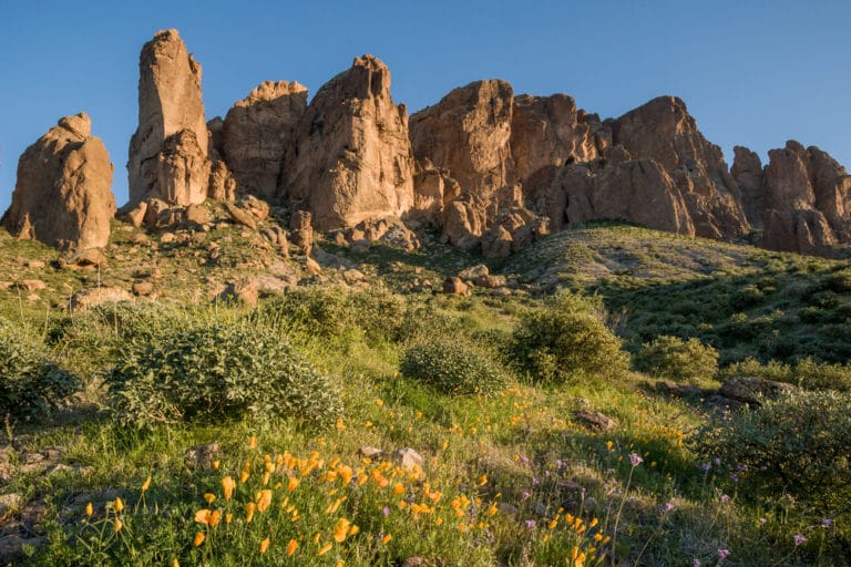 15 Things to Do in Apache Junction (AZ) The Crazy Tourist