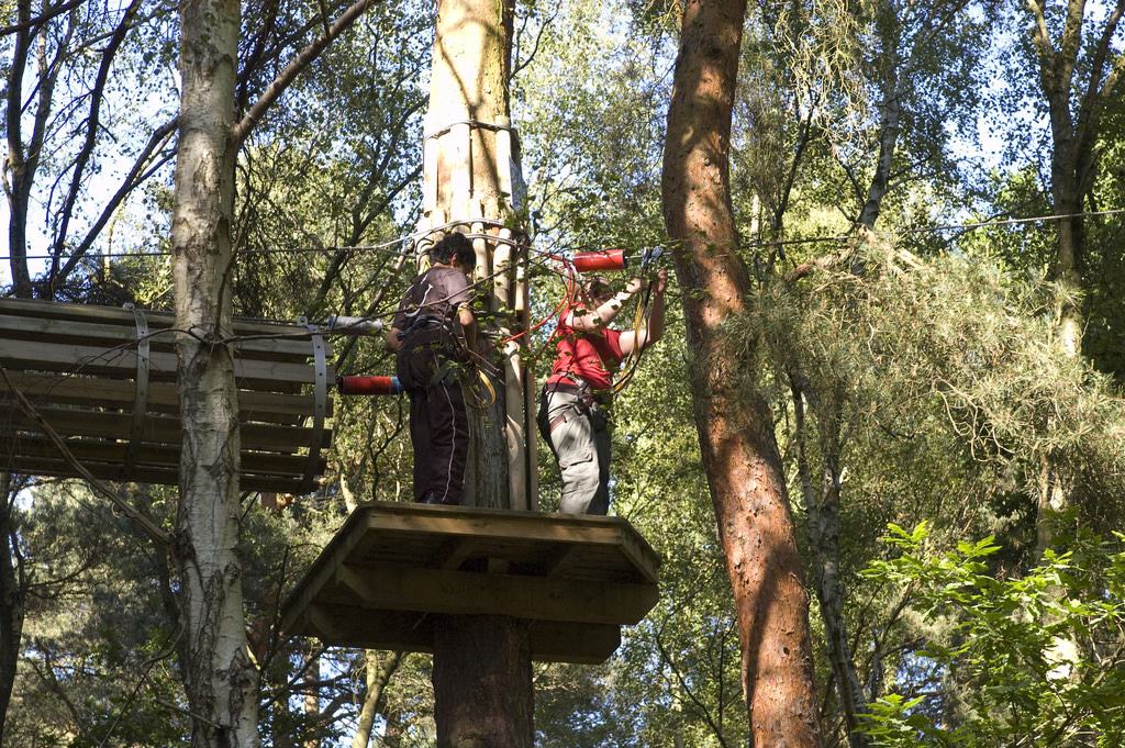 15 Best Things to Do in Bracknell (Berkshire, England) The Crazy Tourist