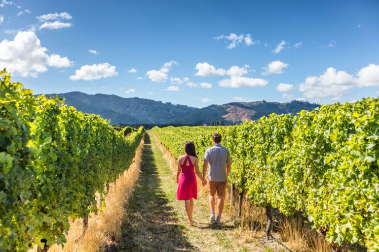 15 Best Napa Valley Wine Tours The Crazy Tourist