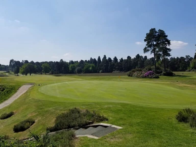 15 Best Things to Do in Woking (Surrey, England) The Crazy Tourist