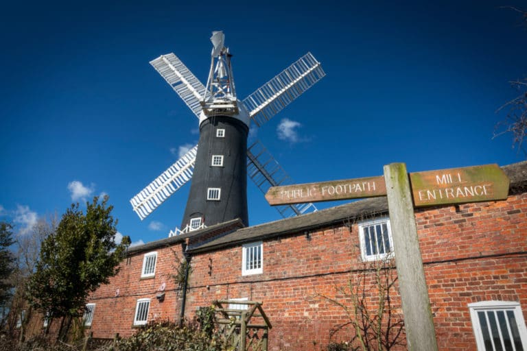 15 Best Things to Do in Beverley (Yorkshire, England) The Crazy Tourist