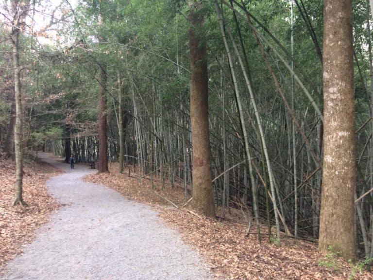 15 Best Things to Do in Clanton (AL) The Crazy Tourist