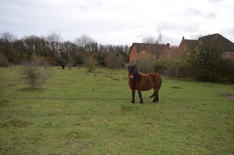 15 Best Things to Do in Dunstable (Bedfordshire, England) The Crazy