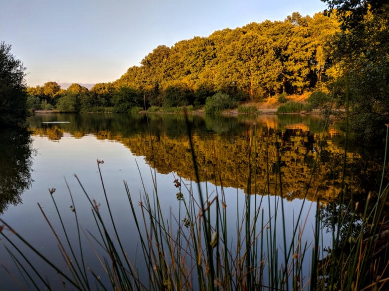 15 Best Things to Do in Mansfield (Nottinghamshire, England) The Crazy Tourist