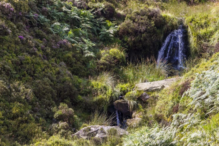 15 Best Things to Do in Haworth (Yorkshire, England) The Crazy Tourist 15 Best Things to Do in Haworth (Yorkshire, England) The Crazy Tourist