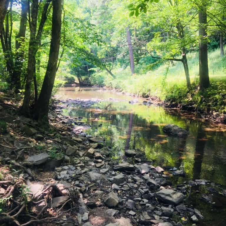 15 Best Things to Do in Irondale (AL) The Crazy Tourist