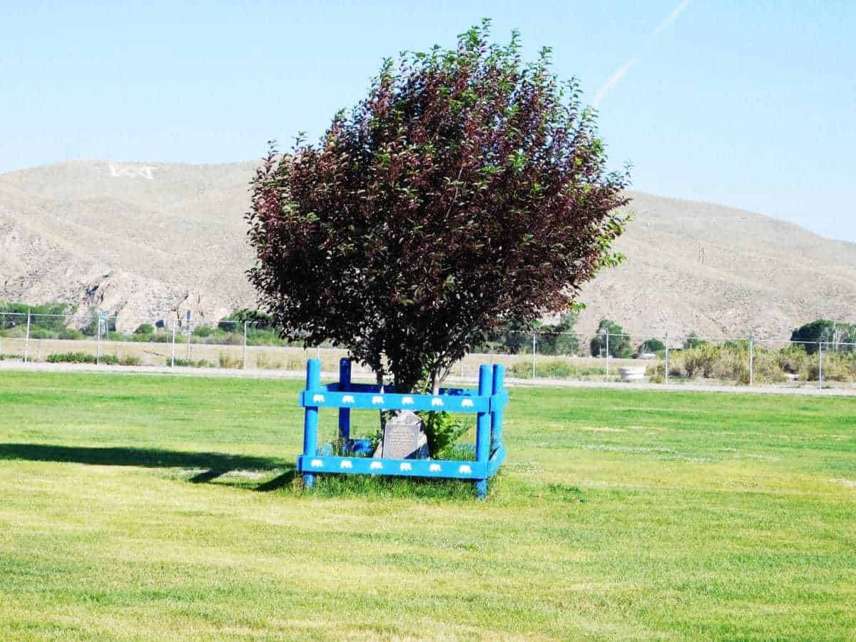 Old Pitt’s Burial Site, Dillon