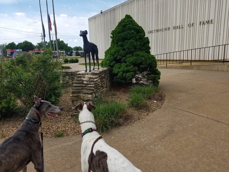 30 Amazing Hidden Gems in Kansas The Crazy Tourist