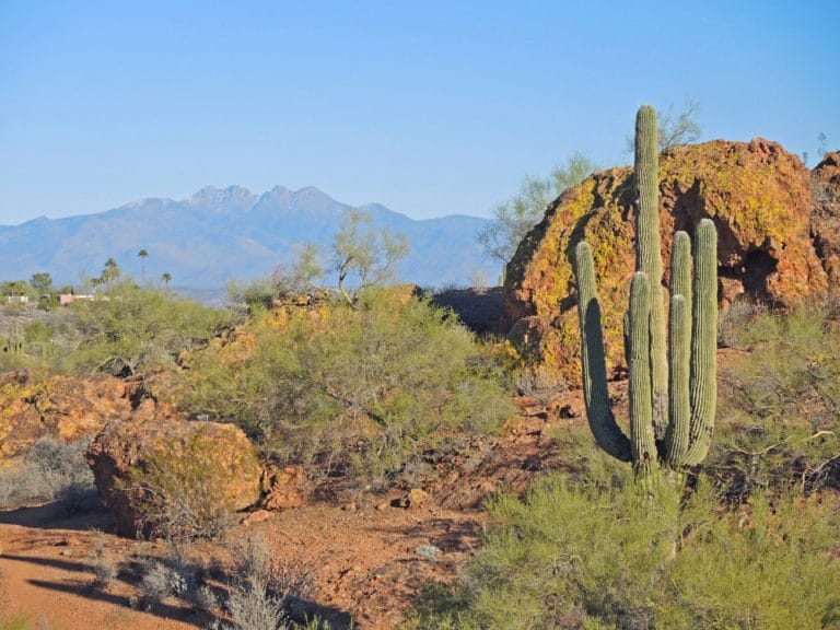 15 Best Things to Do in Fountain Hills (AZ) The Crazy Tourist
