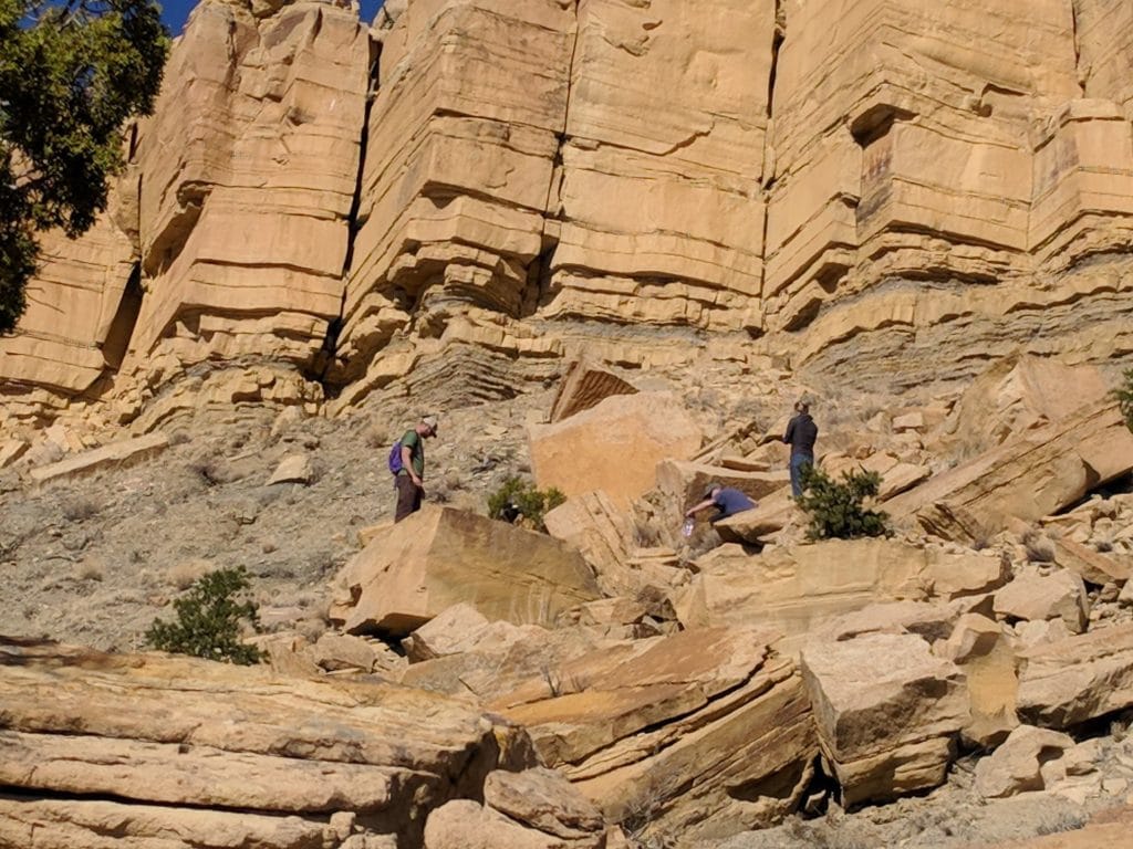 14 Best Things to Do in Springerville (AZ) The Crazy Tourist