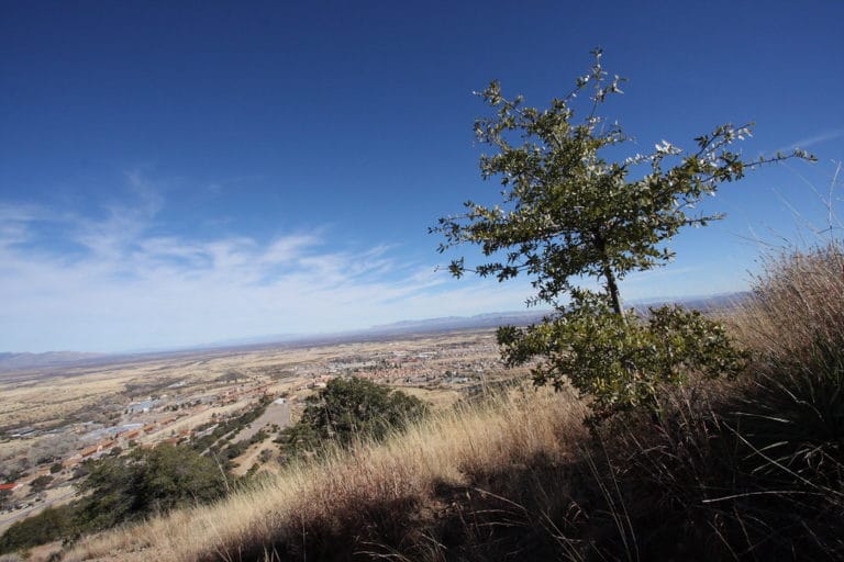 15 Best Things to Do in Huachuca City (AZ) The Crazy Tourist