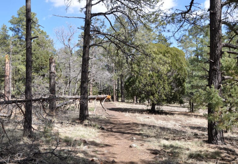 15 Best Things to Do in Clarkdale (AZ) The Crazy Tourist