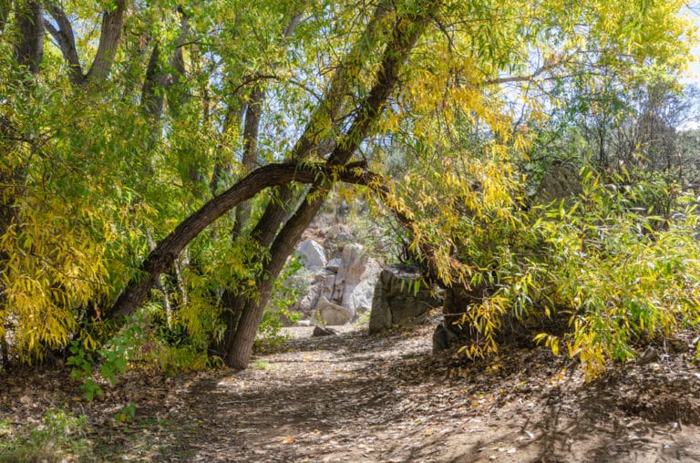 15 Best Things to Do in DeweyHumboldt (AZ) The Crazy Tourist