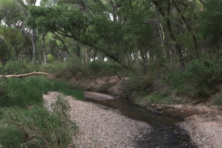 15 Best Things to Do in Huachuca City (AZ) The Crazy Tourist