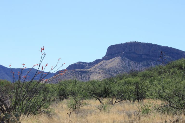 15 Best Things to Do in Benson (AZ) The Crazy Tourist