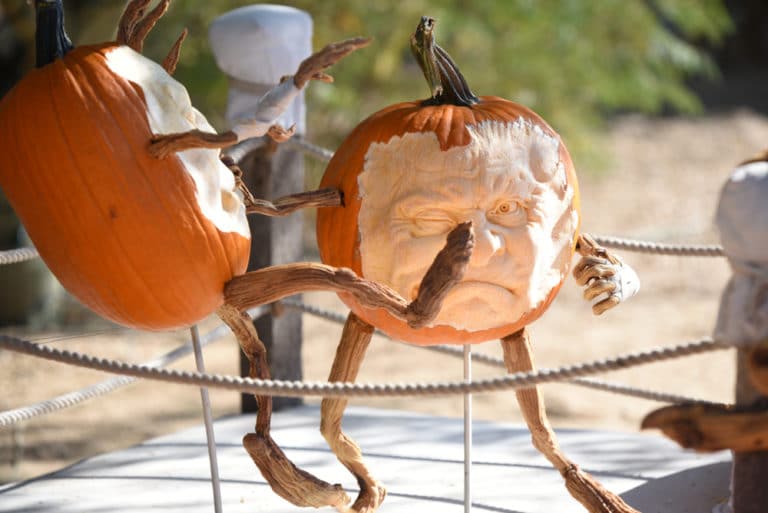 14 Best Things to Do in Carefree (AZ) The Crazy Tourist