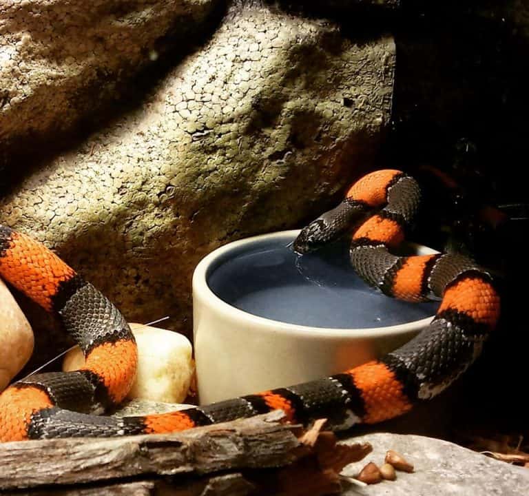 15 Best Things to Do in DeLand (FL) The Crazy Tourist