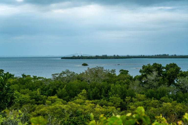 15 Best Things to Do in Palmetto (FL) The Crazy Tourist