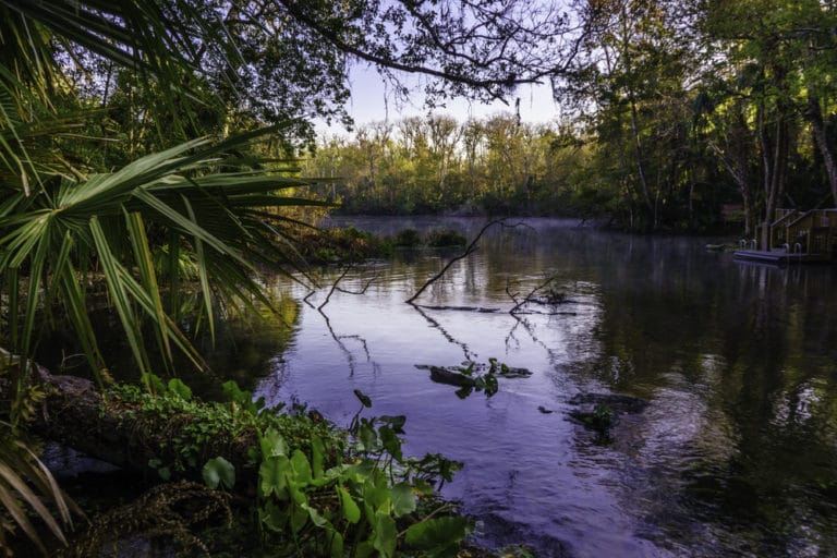 15 Best Things to Do in Altamonte Springs (FL) The Crazy Tourist