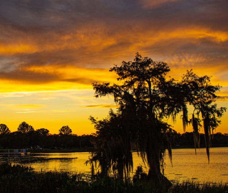 15 Best Things to Do in Leesburg (FL) The Crazy Tourist