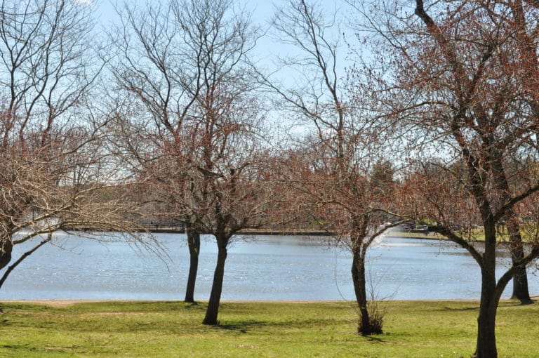 15 Best Things to Do in Meriden (CT) The Crazy Tourist