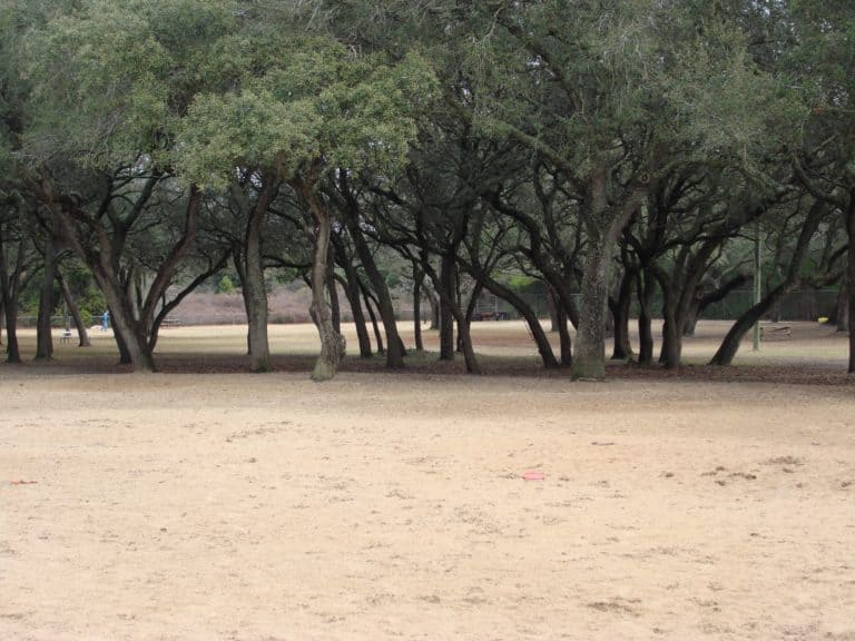 15 Best Things to Do in Niceville (FL) The Crazy Tourist