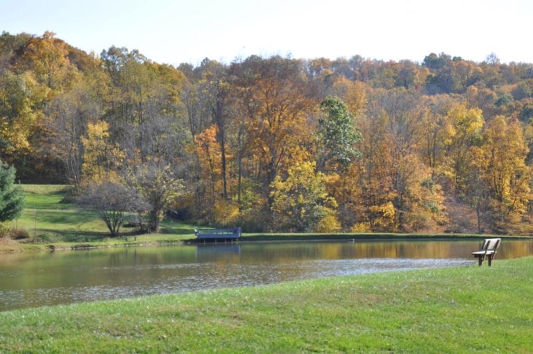 15 Best Things to Do in Crestview (FL) The Crazy Tourist