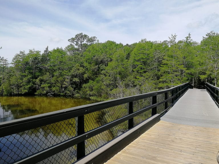 15 Best Things to Do in Niceville (FL) The Crazy Tourist