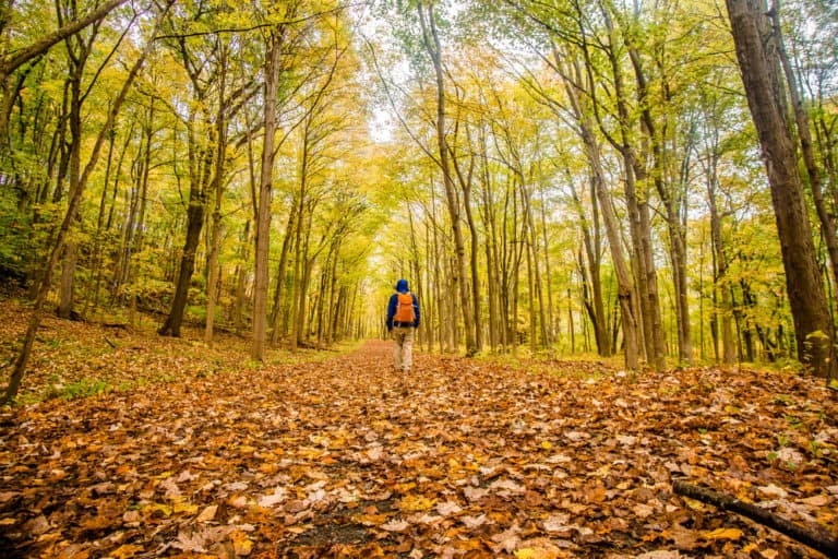 25 (number) visual data 8