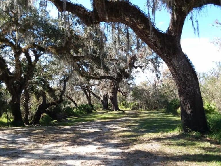 15 Best Things to Do in Arcadia (FL) The Crazy Tourist