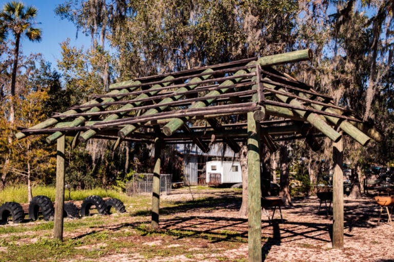 15 Best Things to Do in Arcadia (FL) The Crazy Tourist