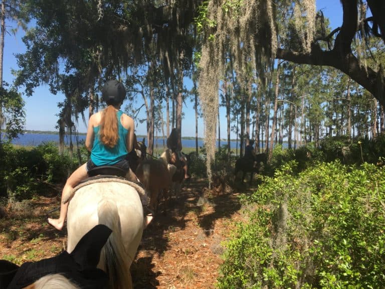 14 Best Things to Do in St. Cloud (FL) - The Crazy Tourist