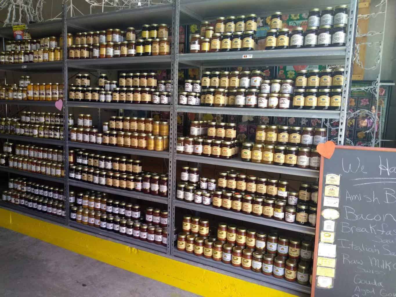 15 Best Things to Do in Lake Alfred (FL) The Crazy Tourist