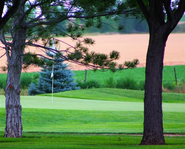 15 Best Things to Do in Wellington (CO) The Crazy Tourist