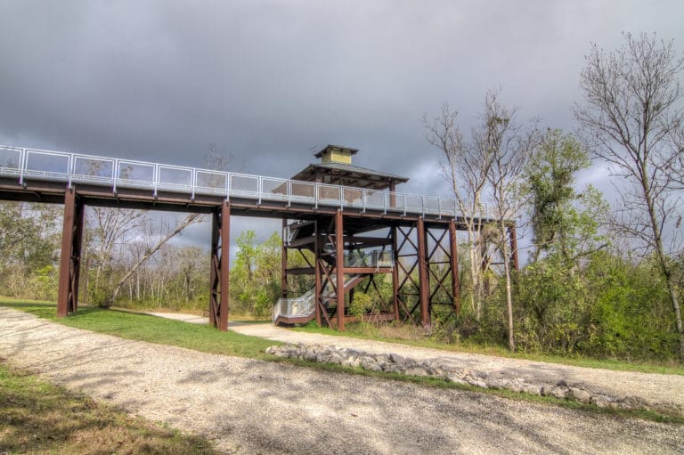 14 Best Things to Do in Minneola (FL) The Crazy Tourist