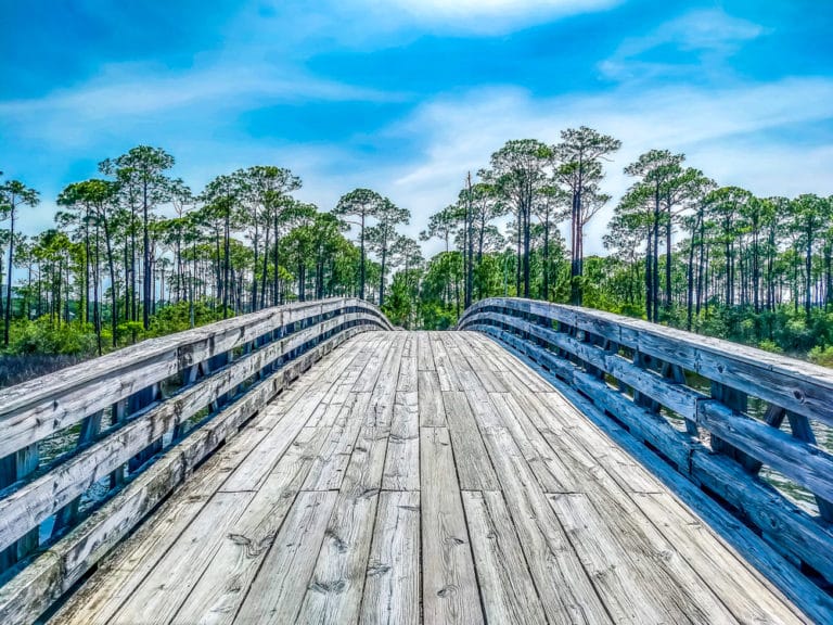 15 Best Things to Do in Valparaiso (FL) The Crazy Tourist