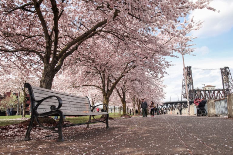 15 Best Things to Do in Downtown Portland The Crazy Tourist