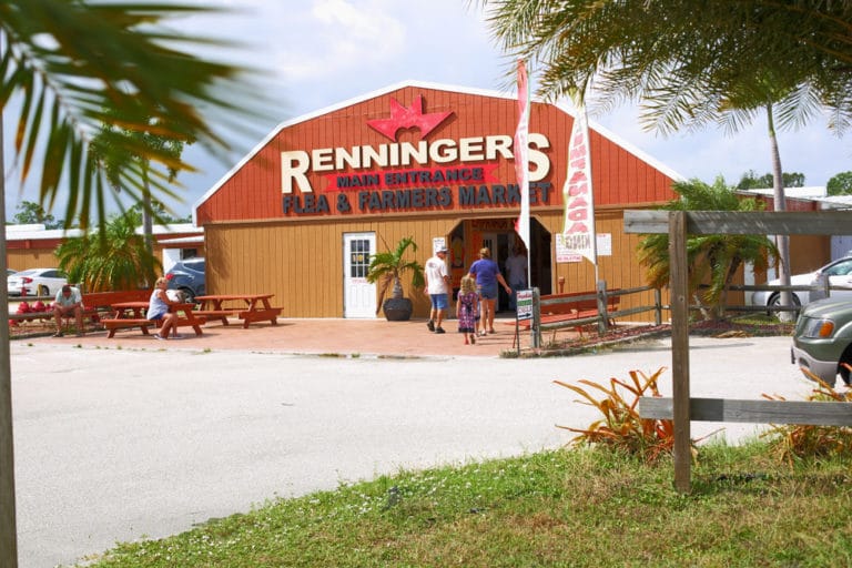 14 Best Things to Do in Fellsmere (FL) The Crazy Tourist