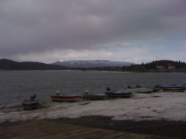 15 Best Things to Do in Dillingham (Alaska) The Crazy Tourist