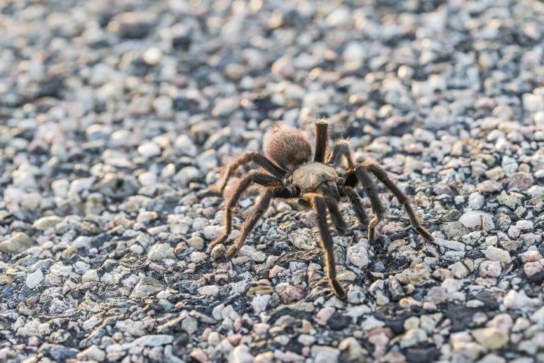 15 Best Things to Do in La Junta (CO) The Crazy Tourist