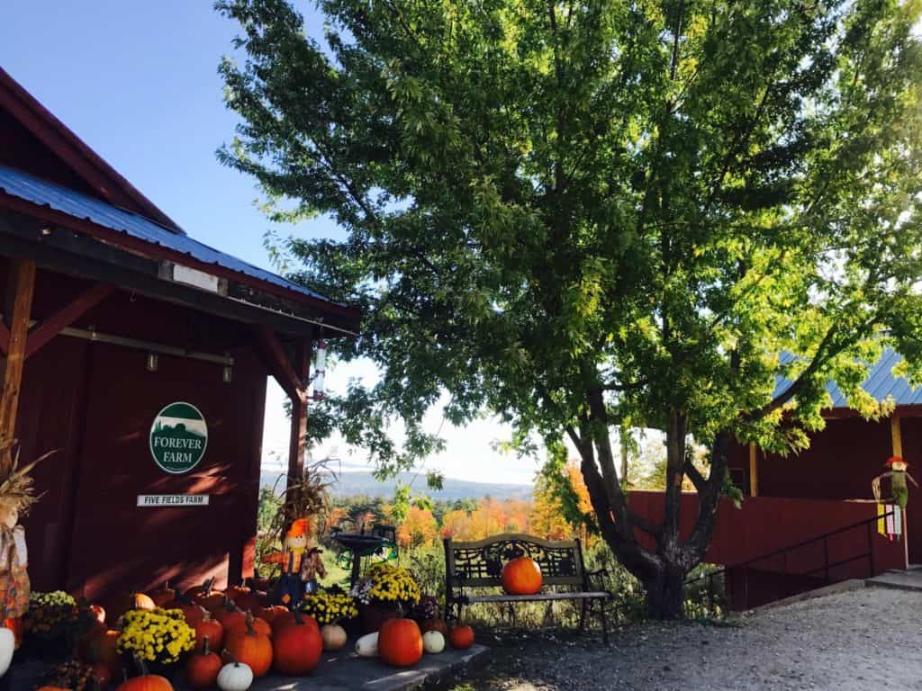 Five Fields Farm – Gyger Orchards